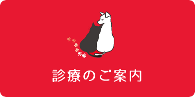 診療のご案内