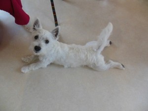 12%e6%9c%881%e6%97%a5-102