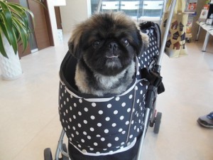 12%e6%9c%881%e6%97%a5-132